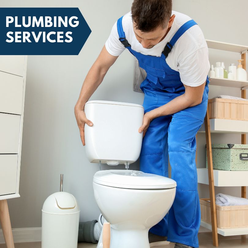 Plumbing Company in Shannon, IL